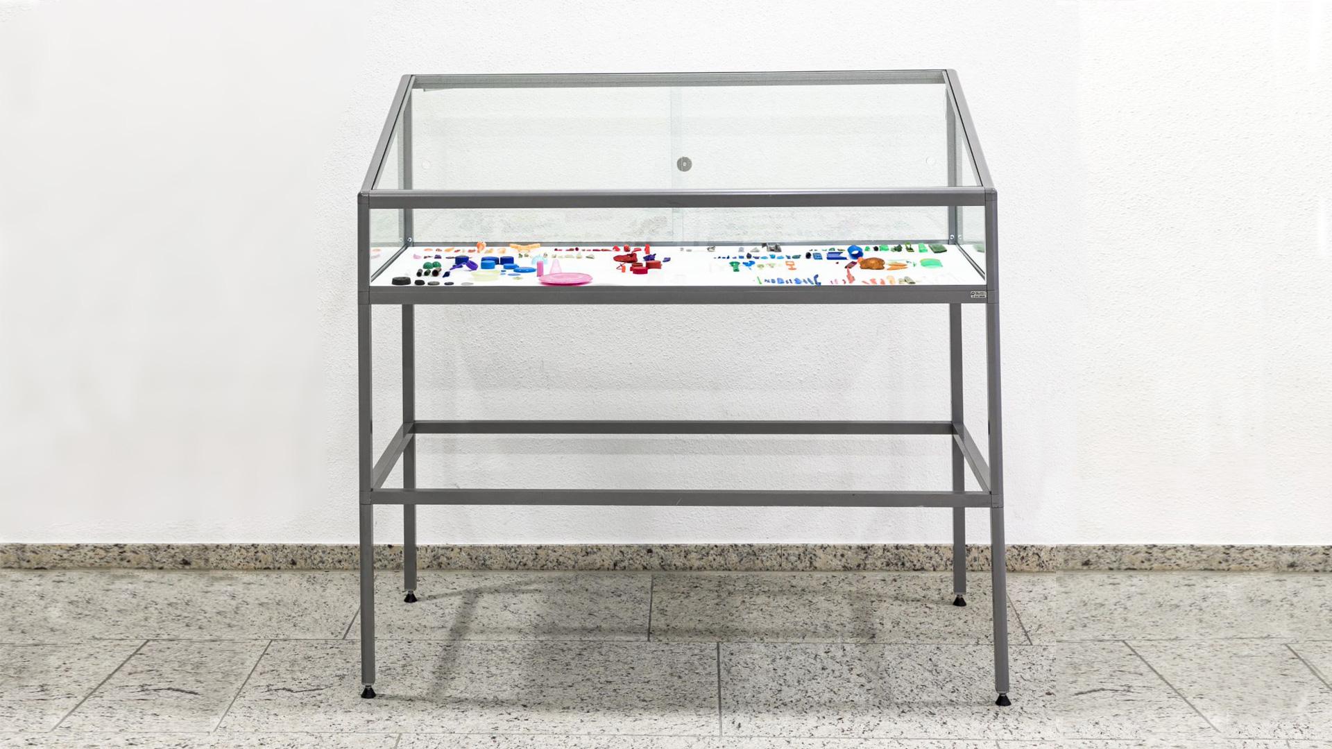 Untitled for Carl von Linné, 2011   Showcase of glass and steel, plastic                      120 x 126 x 60 cm   Installation view 