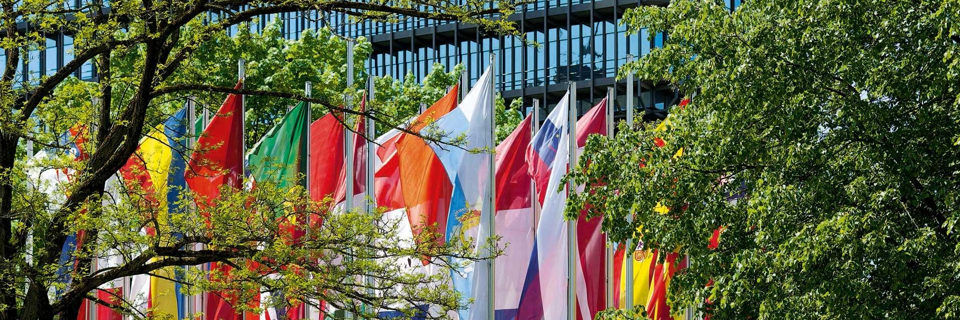 Group of country flags surrounded by trees in front of the EPO headquarters in Munich