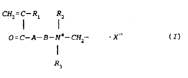La revendication 10 précisait en outre que le monomère soluble dans l'eau était "un mélange d'un ou...