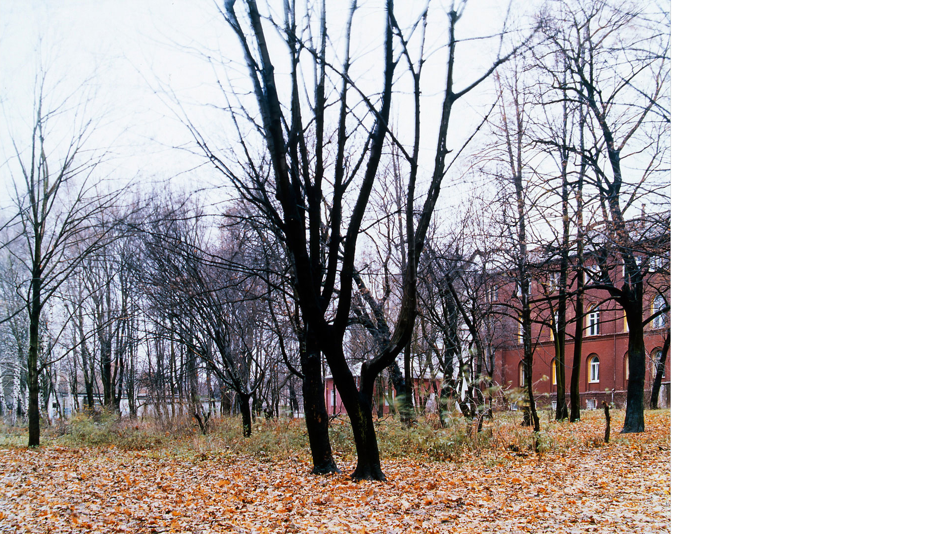 Untitled (from the series "The Kant Walks"), 2003-2004 C-print 68.5 x 80 cm