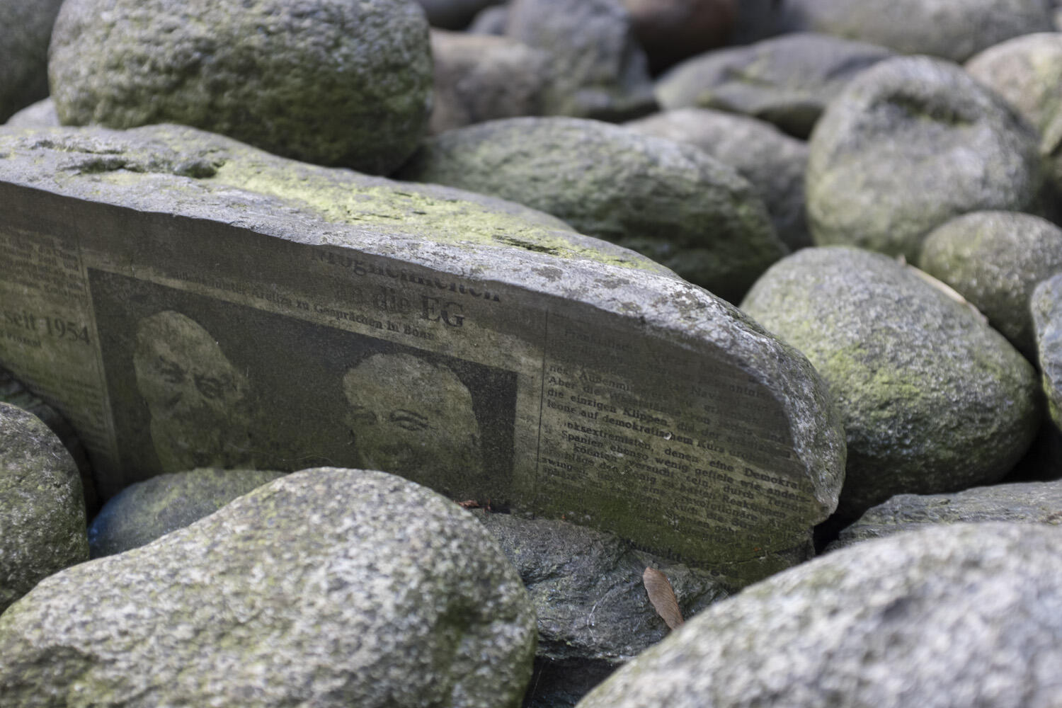 Artwork by Chihiro Shimotani