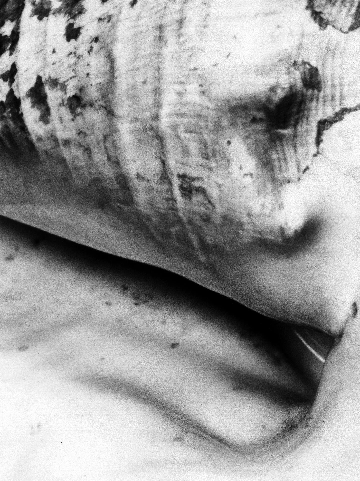 Artwork by Katharina Sieverding