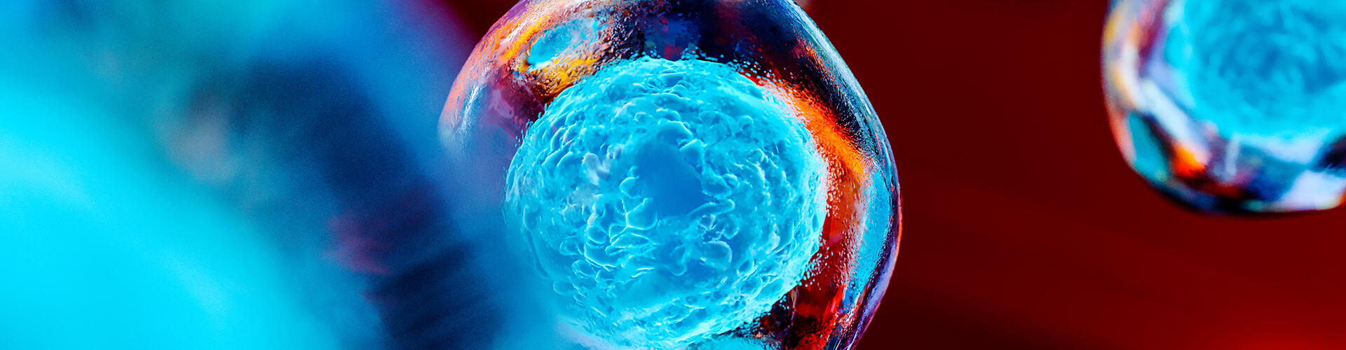 Blue microscopic cell against a red background