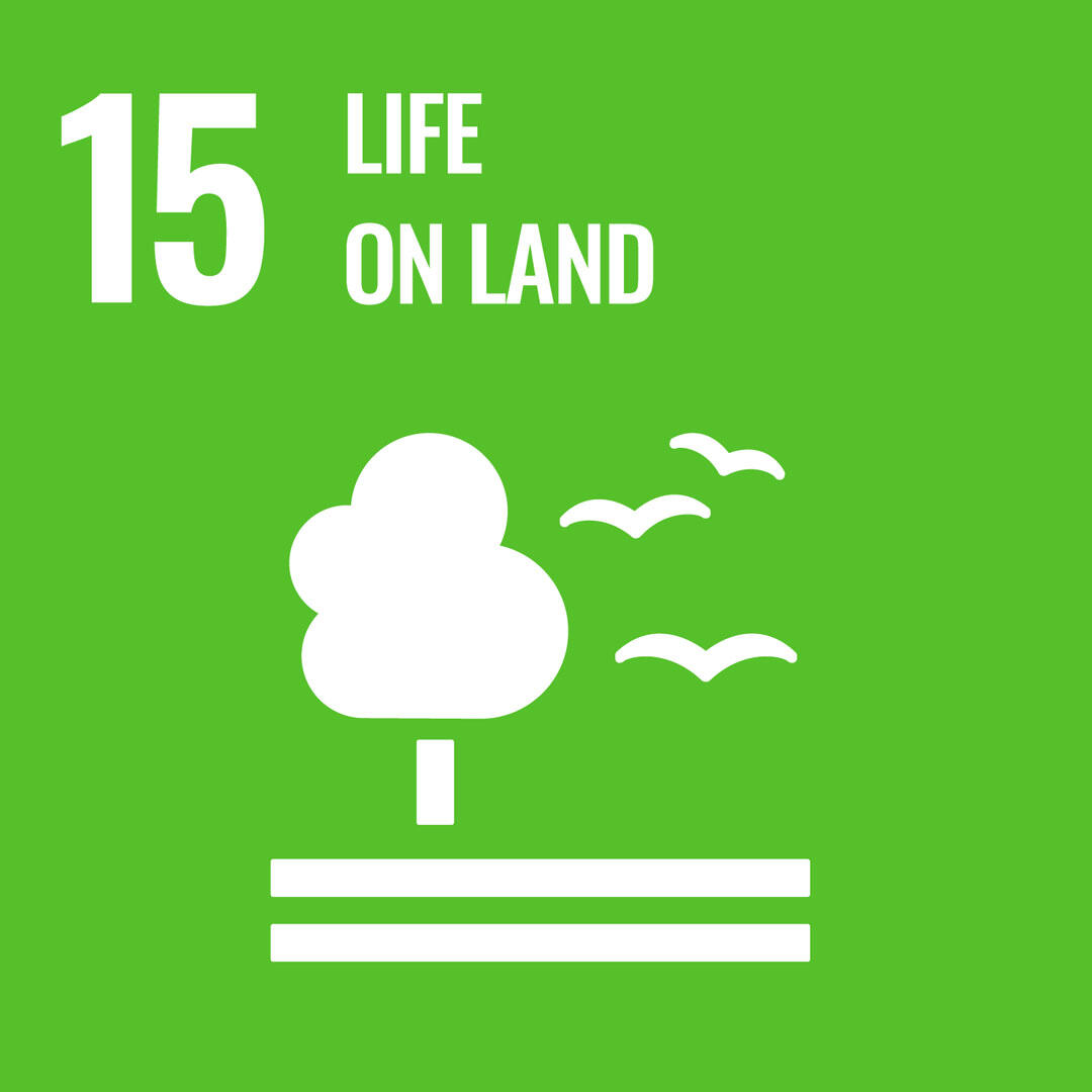 SDG icon 15