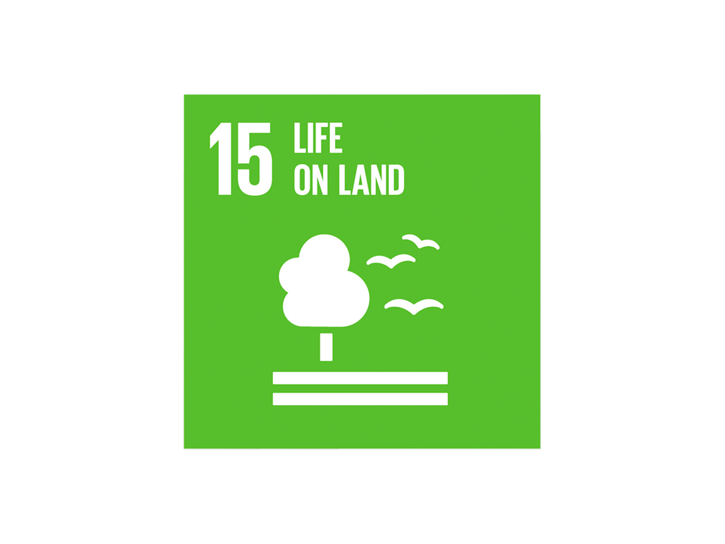UN Sustainable Development Goal 15 logo