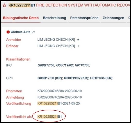 DE Asian Patent Keyvisual 1