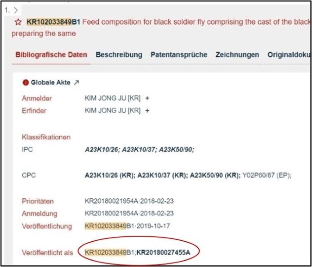 DE Asian Patent Keyvisual 2