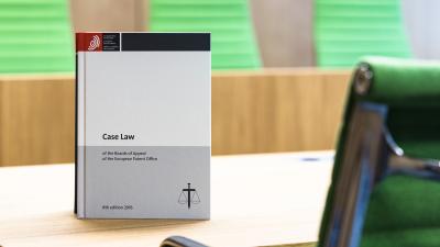 A photo of the Case law publication