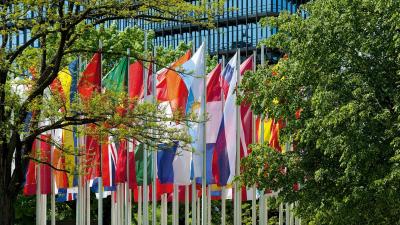 Group of country flags surrounded by trees in front of the EPO headquarters in Munich