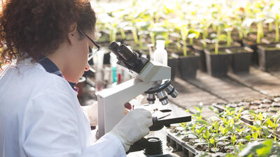 Co-operation between the EPO and the CPVO supports innovation in the plant sector