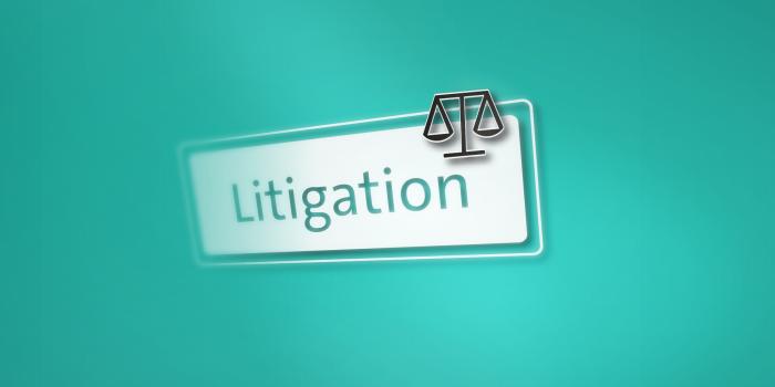 Litigation matters