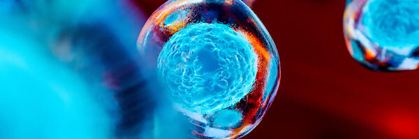 Blue microscopic cell against a red background